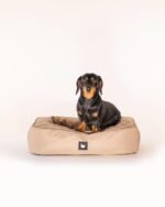 Mini B-DOG Bed - Forest Green - Image 8
