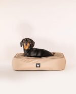 Mini B-DOG Bed - Forest Green - Image 9