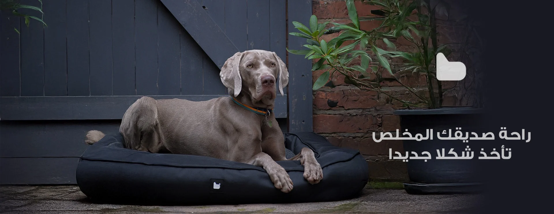 ibZqcmEKpvMgsD5xzyDCWFNOKt3hfacmesj4k58P